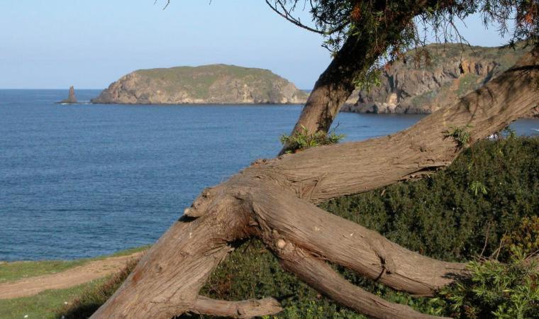 Appartamento In Casa Con Cortili Ad Arbus - Sardegna מראה חיצוני תמונה