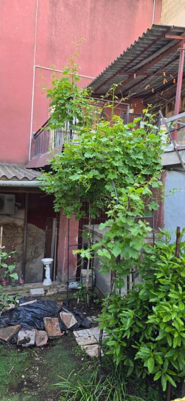 Appartamento In Casa Con Cortili Ad Arbus - Sardegna מראה חיצוני תמונה